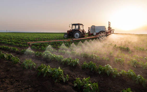 Pest Prevention Services in Depew, NY