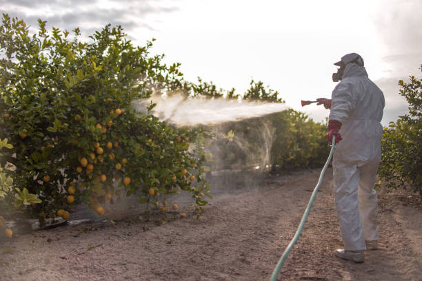 Best Pest Control Near Me  in Depew, NY