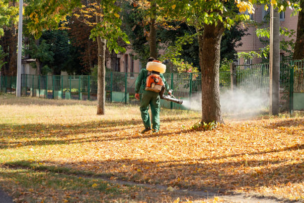 Best Mosquito Control Services  in Depew, NY