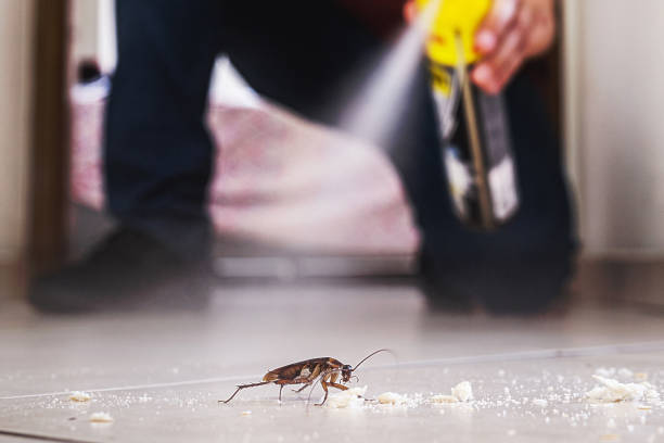 Best Best Pest Control Companies  in Depew, NY