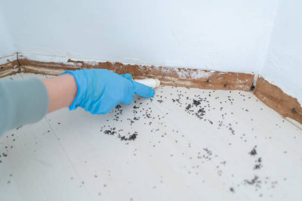 Best Commercial Pest Control Services  in Depew, NY