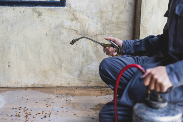 Best Pest Prevention Services  in Depew, NY
