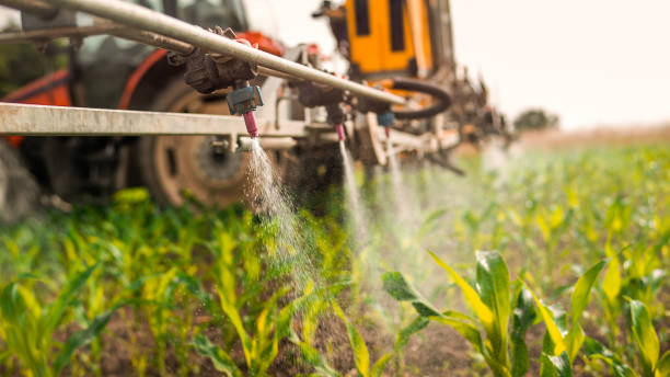 Best Mosquito Control Services  in Depew, NY